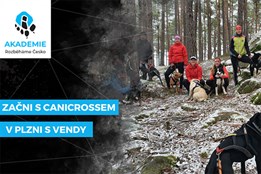 Začni s canicrossem v Plzni s Vendy | Rozběháme Česko