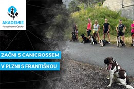 Začni s canicrossem v Plzni s Františkou | Rozběháme Česko