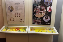 Výstava Město v kondici v Mázhauzu plzeňské radnice