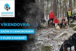 Víkendovka: Začni s canicrossem v Plzni s Markét | Rozběháme Česko